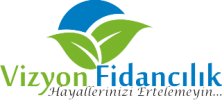 Vizyon Fidancılık